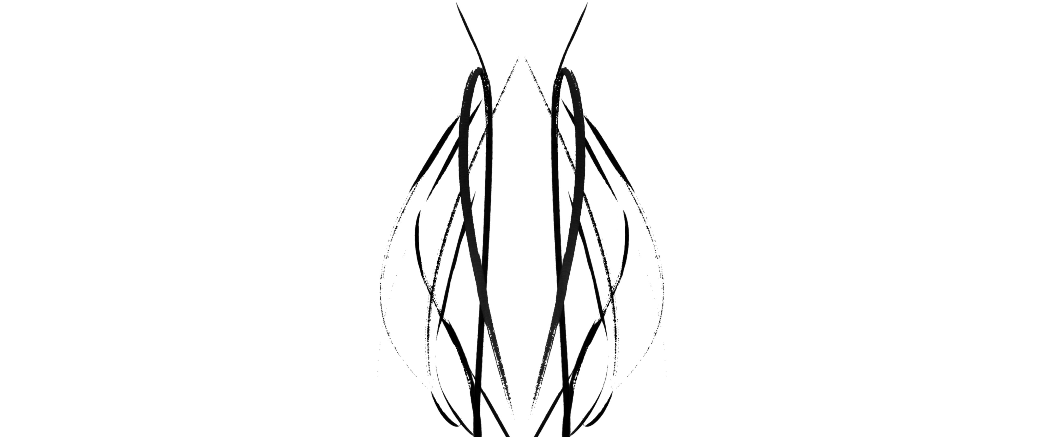 webgraphic